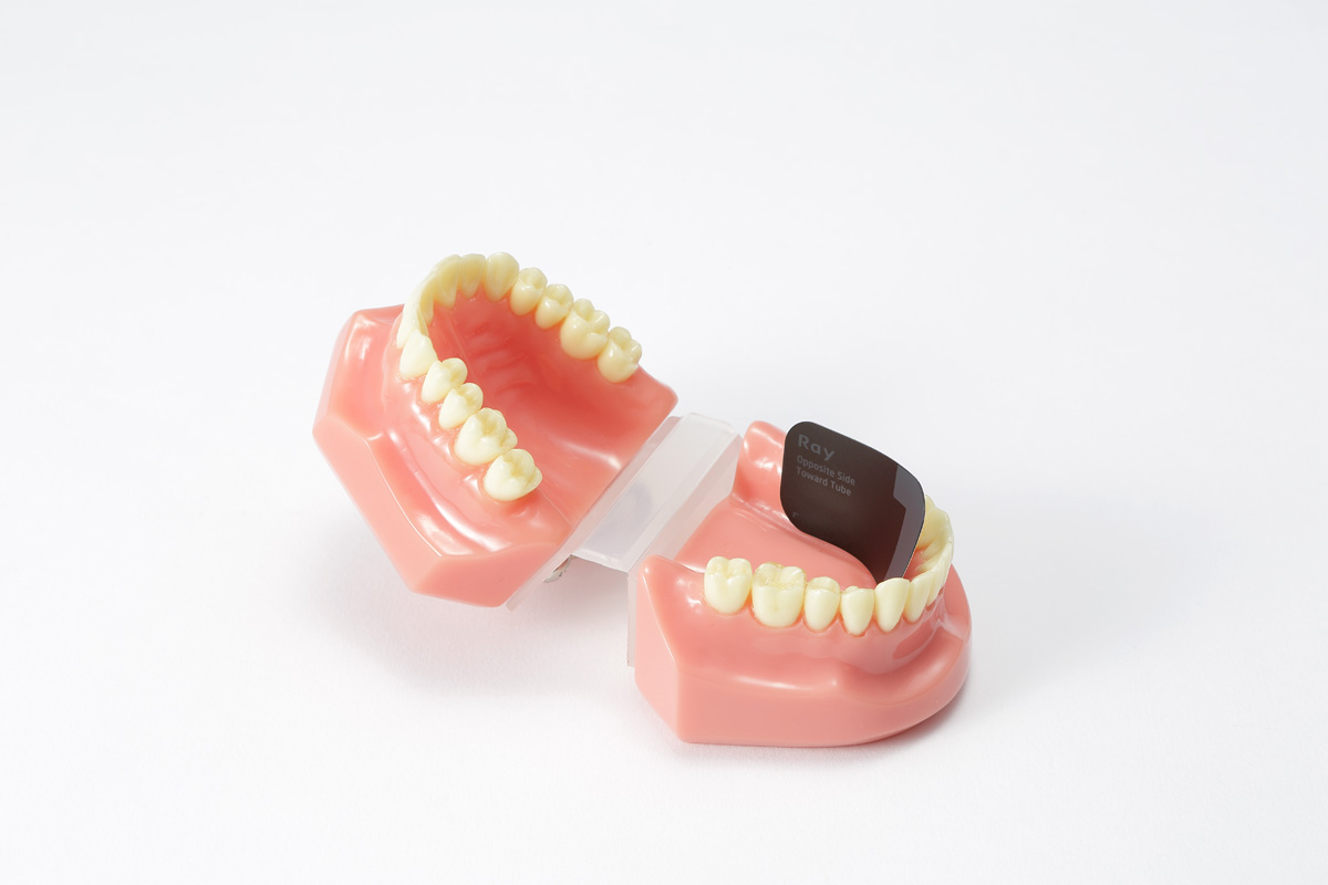 RIOScan Digital Imaging Plate System